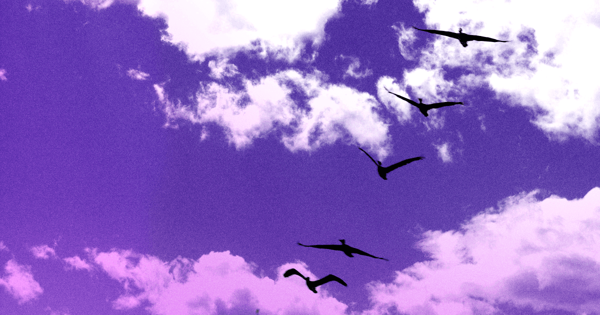 Top 14 Cloud Migration Tools and How to Choose the Right One