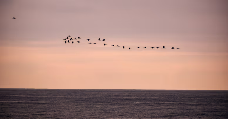 Consider these 9 microservices best practices to help you ditch your monolith