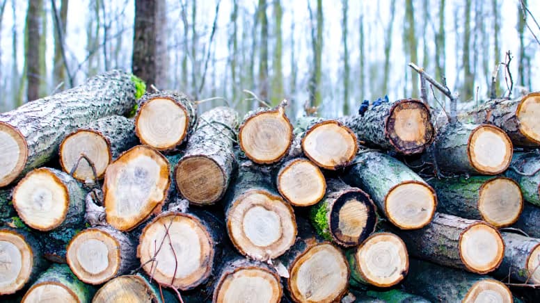 Best practices for logging microservices