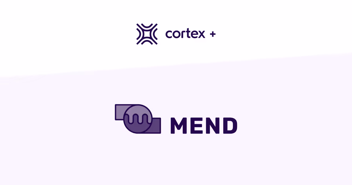 Mapping service vulnerabilities with Mend
