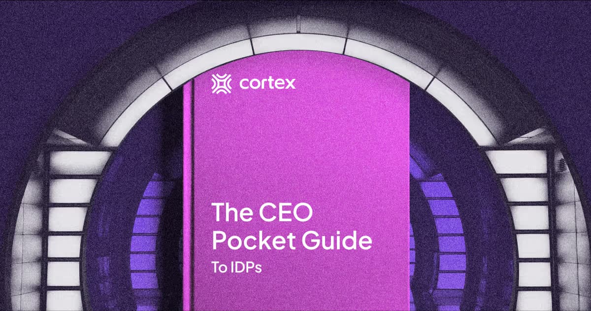The CEO Pocket Guide to Internal Developer Portals